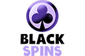Black Spins Casino logo