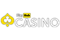 Playhub logo