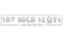 Sky High Slots Casino logo
