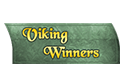 Viking Winners Bingo logo