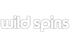 Wild Spins Casino logo